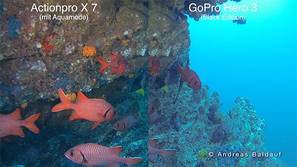 Vergleich der Actionpro X7 und GoPro Hero3 Black